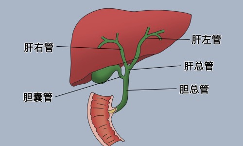 咽喉炎那些食物不能吃-咽喉炎的食物网-分享咽喉炎的食物禁忌，咽喉炎食物残渣卡喉咙知识库